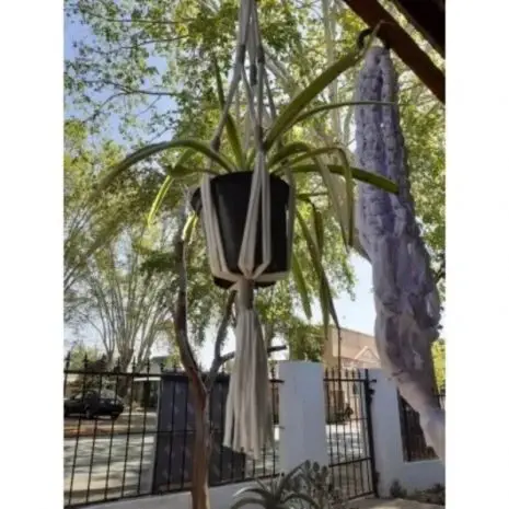 Upcycled T-shirt Macrame plant hanger