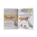 Simply Bee Stella The Bee Collection Educational Kids Story Books Bee Life Cycle Bee Keeping (2)