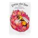 Simply Bee Stella the bee – book 3 - Educational conservation for kids